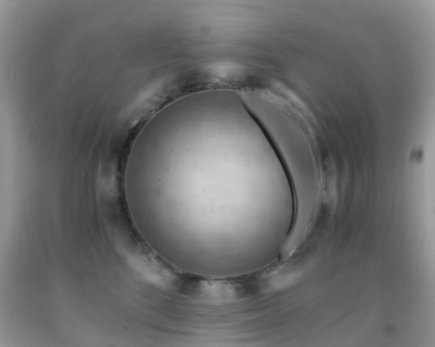 X0000092000520200709061442