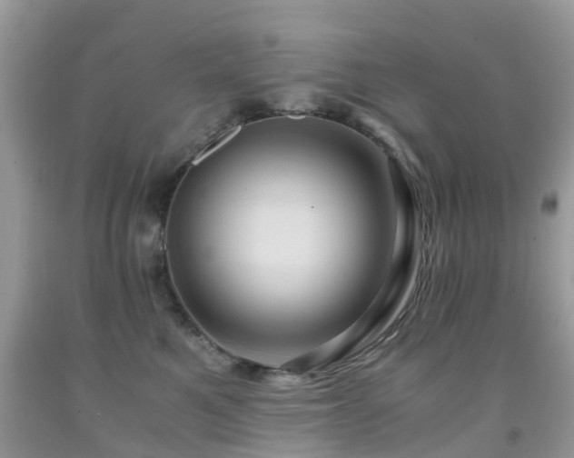 X0000092000521200709061442