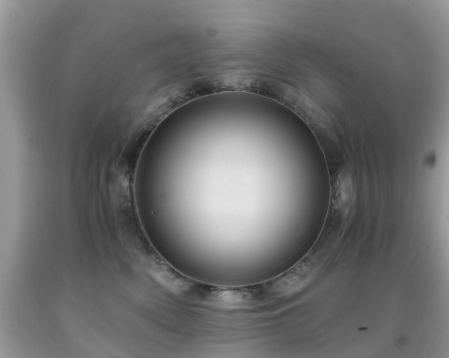 X0000092000522200709061442