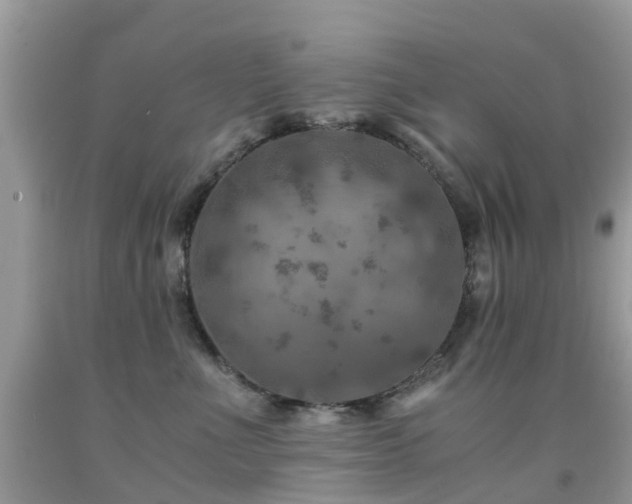 X0000092000523200709061442