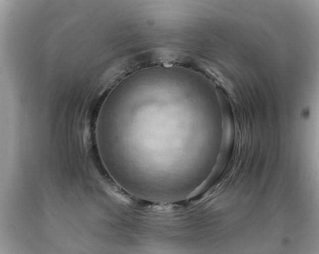 X0000092000524200709061442