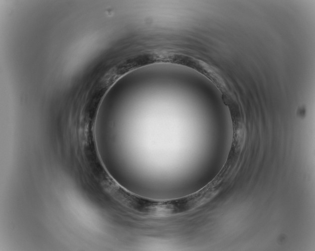 X0000092000525200709061442