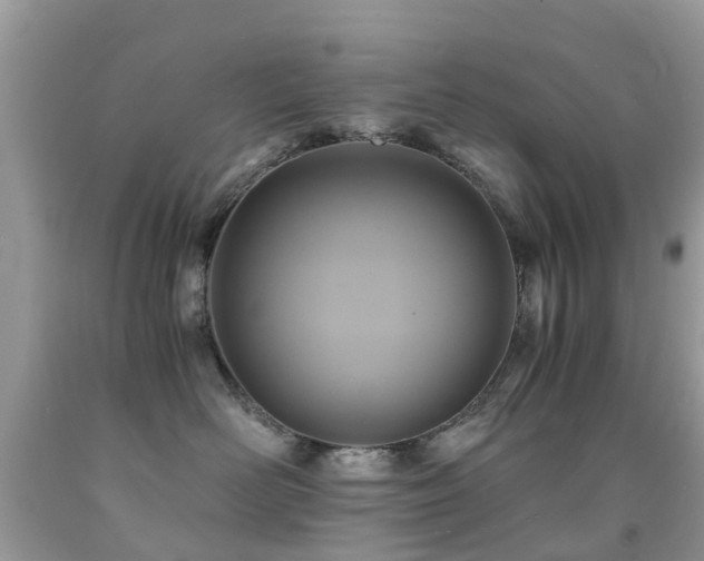 X0000092000526200709061442