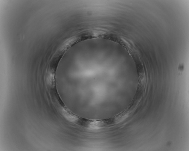 X0000092000527200709061442