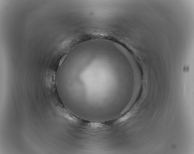 X0000092000528200709061442