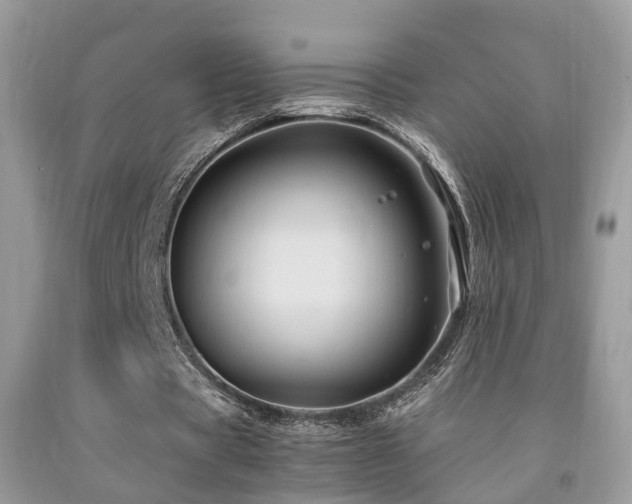 X0000092000529200709061441