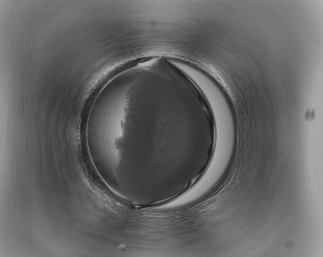 X0000092000531200709061441