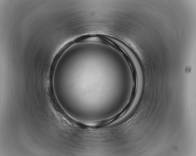 X0000092000532200709061441