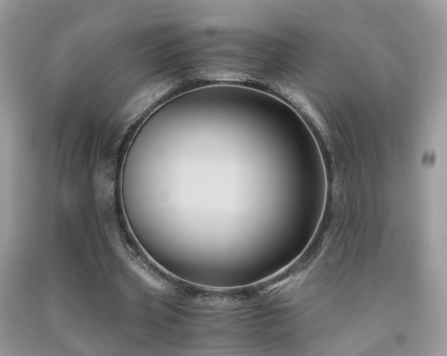 X0000092000533200709061441