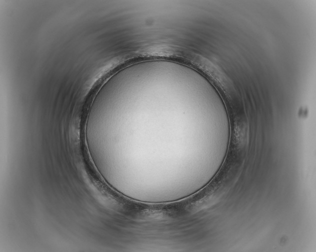 X0000092000534200709061441