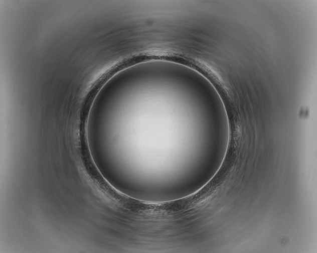 X0000092000535200709061441