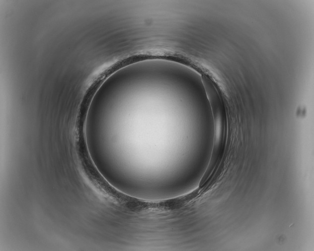 X0000092000536200709061441