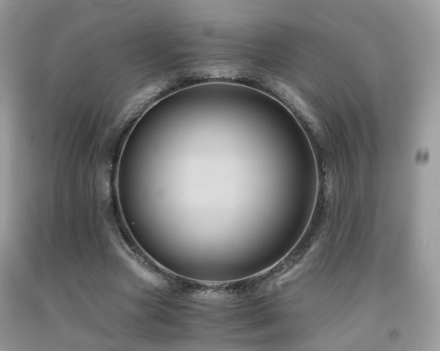 X0000092000537200709061441