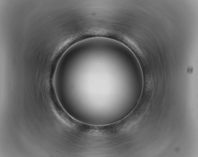 X0000092000538200709061441