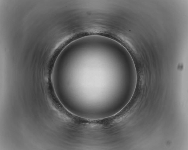 X0000092000539200709061441