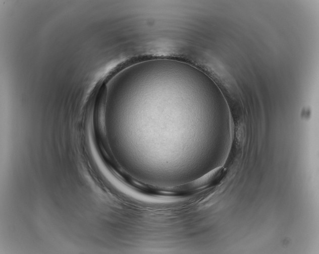 X0000092000540200709061441