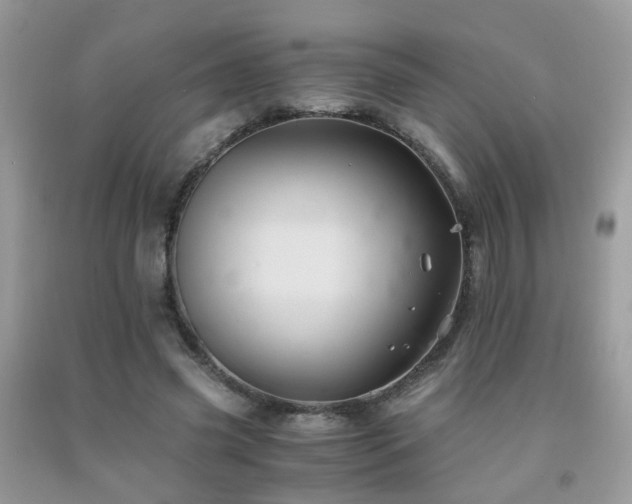 X0000092000541200709061441