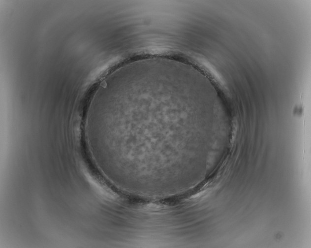 X0000092000542200709061441