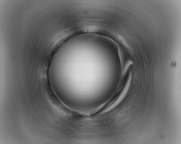 X0000092000543200709061441