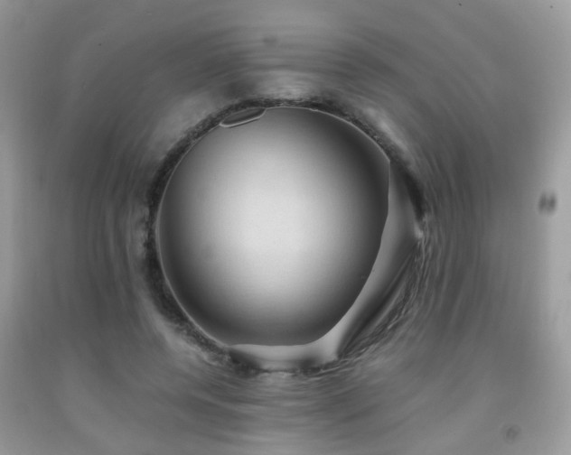 X0000092000544200709061441