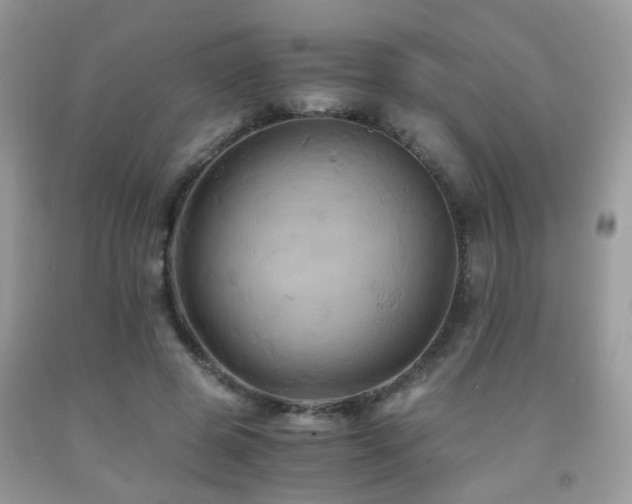 X0000092000545200709061441