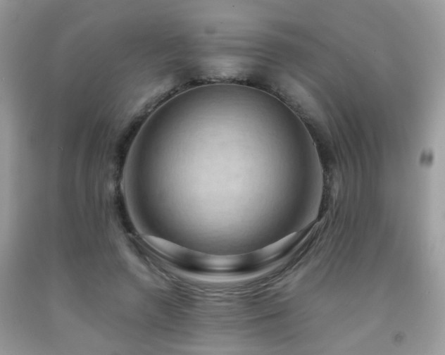 X0000092000546200709061441