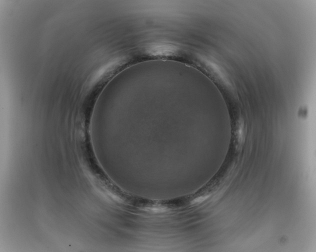 X0000092000547200709061441