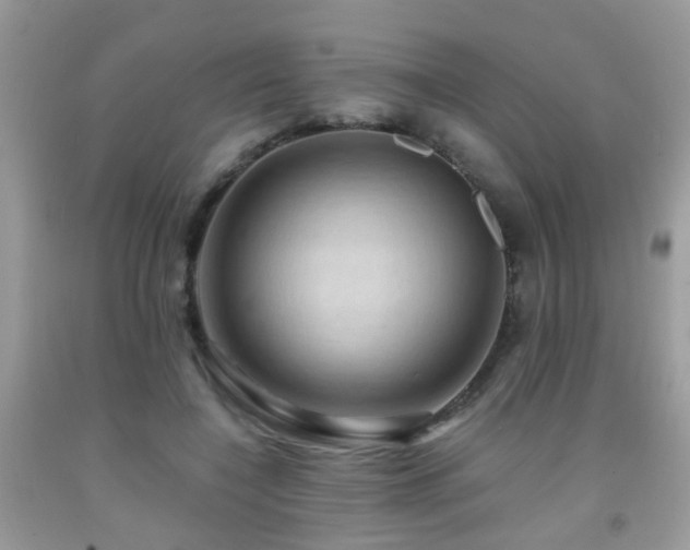 X0000092000548200709061441