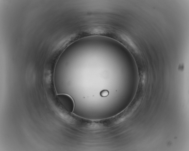 X0000092000549200709061441