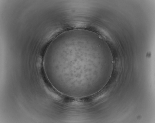 X0000092000550200709061441