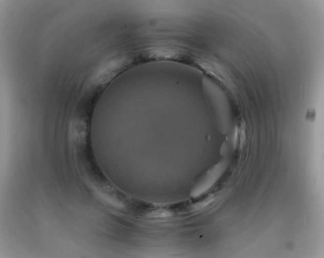 X0000092000551200709061441