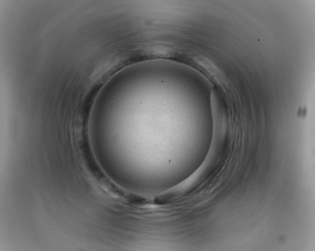 X0000092000552200709061441