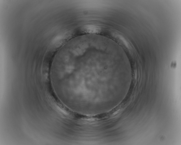 X0000092000553200709061441