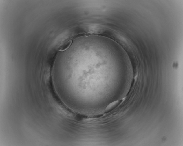 X0000092000554200709061441