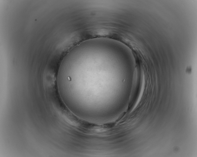 X0000092000555200709061441