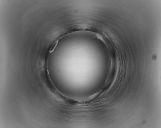 X0000092000556200709061441