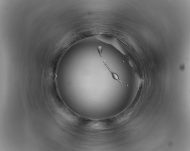 X0000092000557200709061441