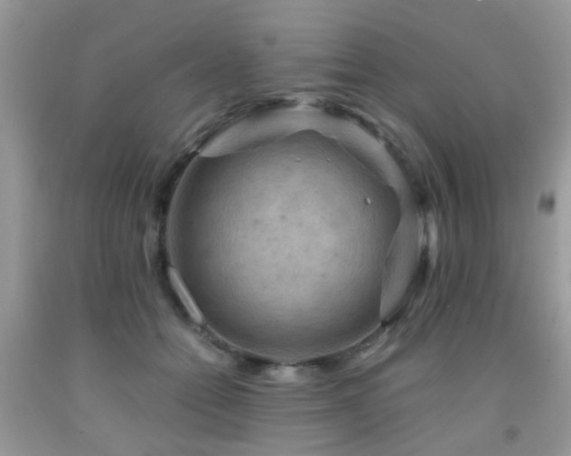 X0000092000558200709061441