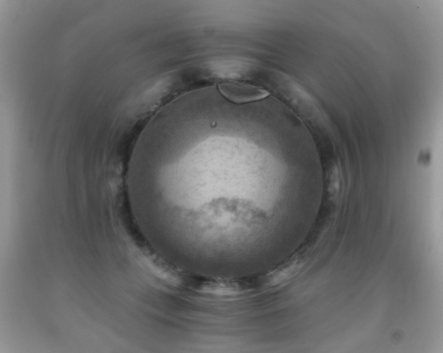 X0000092000559200709061441