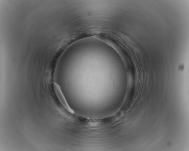 X0000092000560200709061441