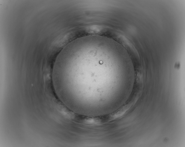 X0000092000561200709061441