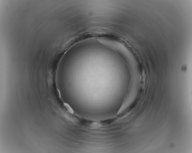 X0000092000562200709061441