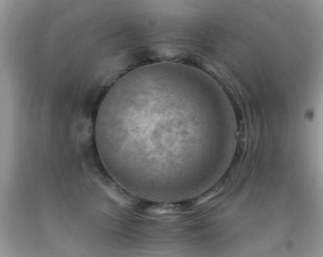 X0000092000563200709061441