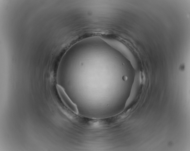 X0000092000564200709061441