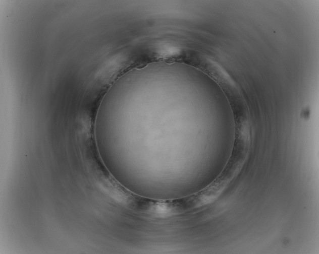 X0000092000565200709061441