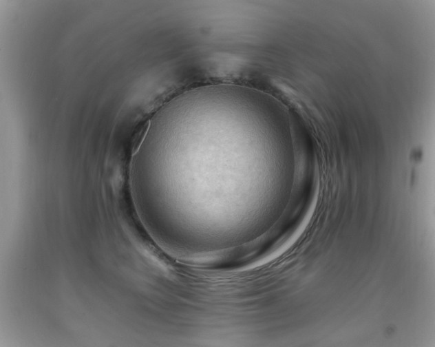 X0000092000566200709061441