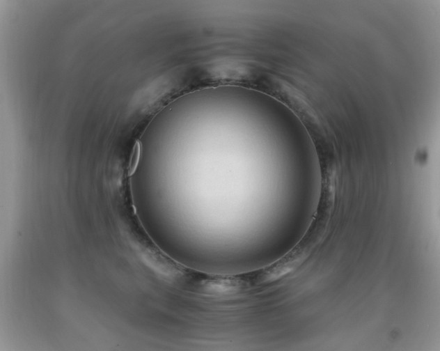 X0000092000567200709061441