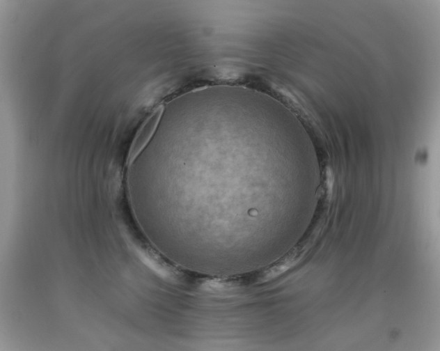 X0000092000568200709061441