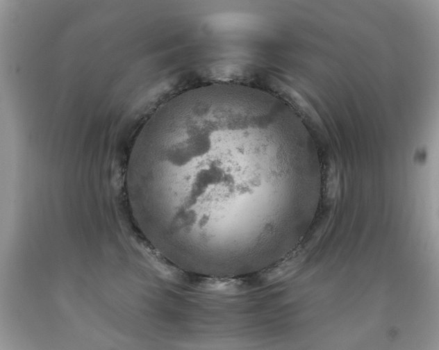 X0000092000569200709061442