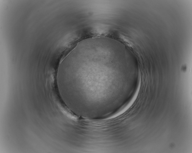 X0000092000570200709061442